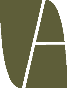 Visions Architecture